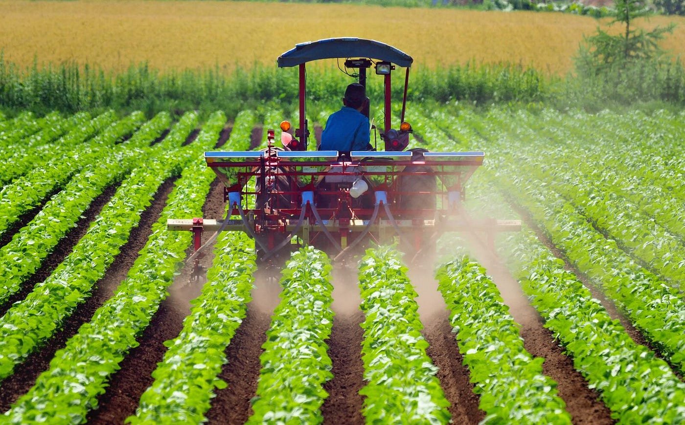Agricultural Cooperation Between Tanzania and Russia: Economic Implications, Benefits, and Strategic Recommendations