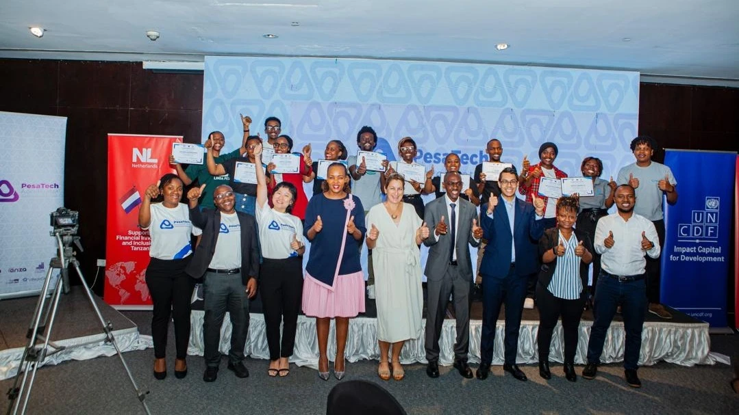 The Economics of Tanzania’s Startup Sectors: FinTech Dominates, AgriTech Anchors