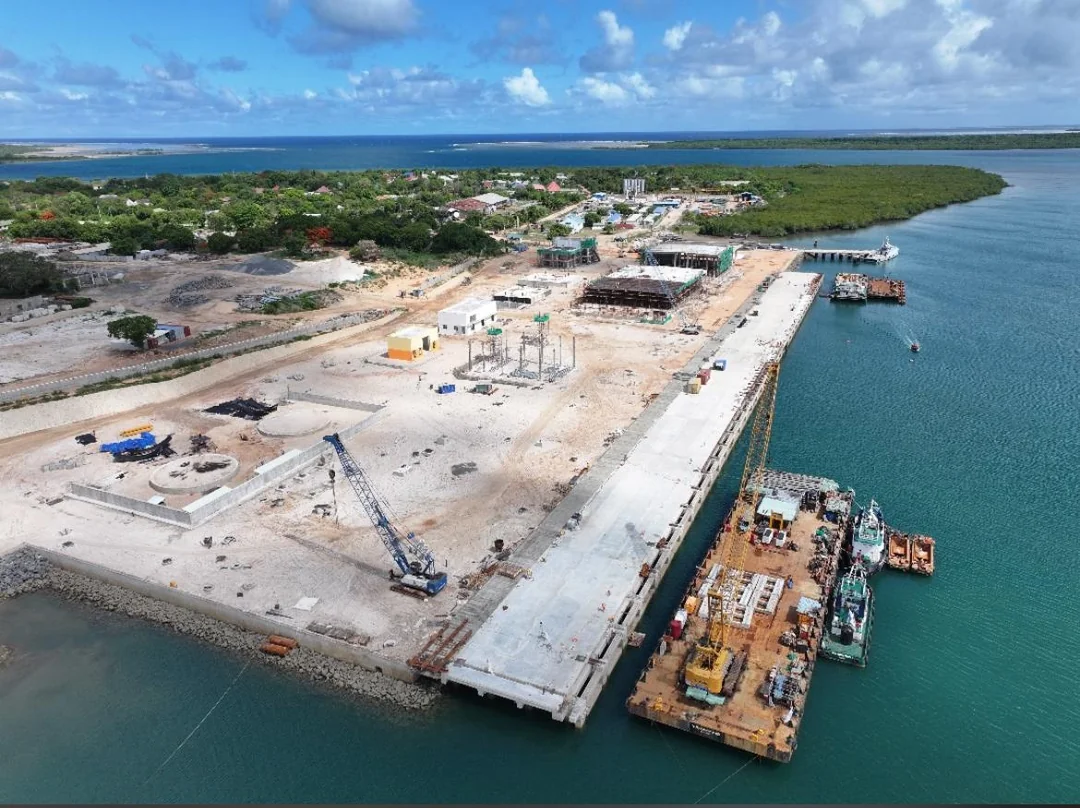 China’s Belt and Road Initiative in Tanzania: Blessing or Mystery?