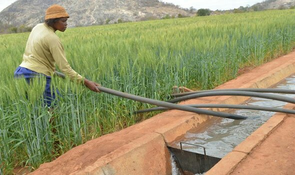 Agricultural Reforms and Food Self-Sufficiency: Implications for Tanzania’s GDP (2025–2030)