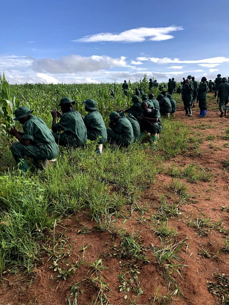 Unlocking Economic Potential: How JKT and Prisons Can Drive Tanzania’s Growth