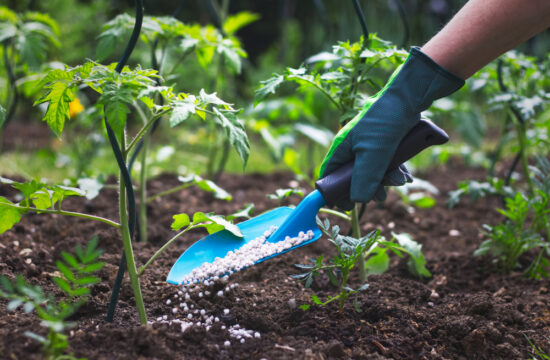 Tanzania at a Crossroads: Urgent Call to Build a Fertilizer Plant for Self-Sufficiency