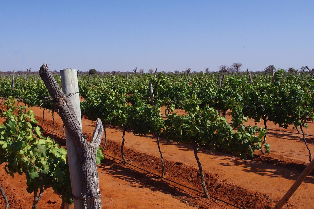 Tanzania’s FDI Flood: Real Growth or a Mirage of Offshore Capital?