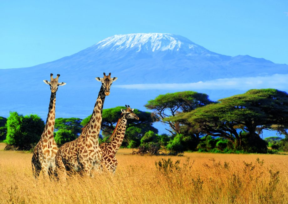 How Technology is Transforming Eco-Tourism in Tanzania