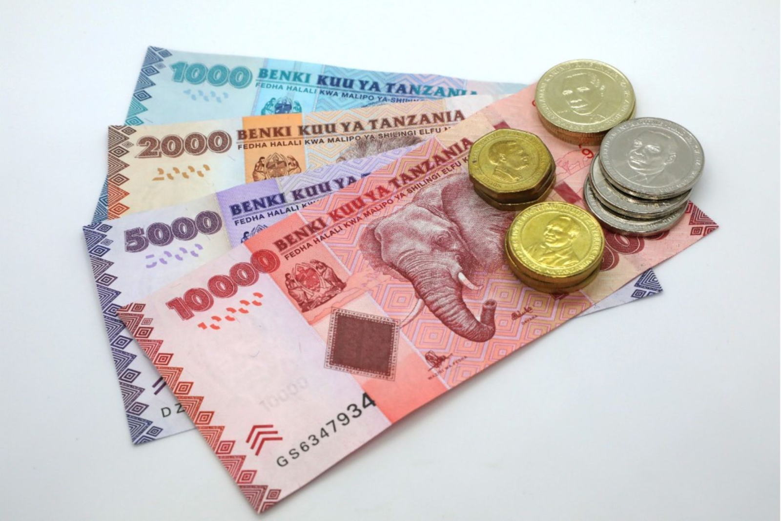 Understanding Currency: Appreciation, Stability, and Depreciation of the Tanzanian Shilling