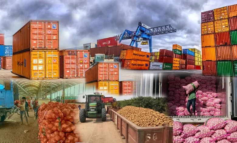 From Local to Global: How to Build a Thriving Export Business in Tanzania.