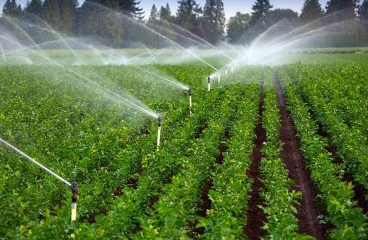 Irrigation in Tanzania: Modern Techniques, Policy Support, and Climate-Smart Solutions for Sustainable Agriculture