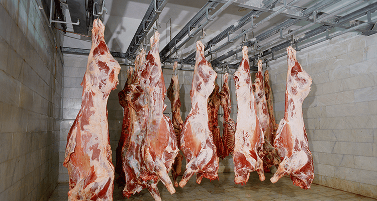 Cold Chains, Abattoirs and Logistics: The Infrastructure Tanzania Needs for a Modern Meat Industry
