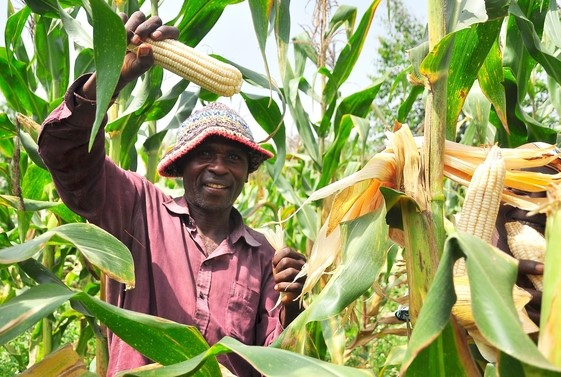 Contract Farming: The Key to Unlocking Tanzania’s Agricultural Potential