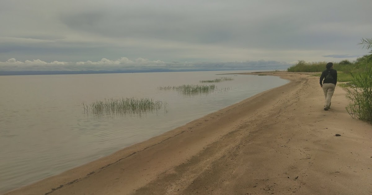 Unlocking Opportunities in the Lake Rukwa Basin: Agriculture, Fisheries, Livestock, Transport, and What Government Must Do