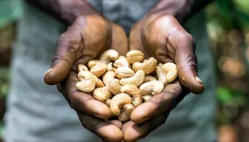 Trade Finance in Tanzania: How Government and Banks Can Strengthen Export Competitiveness