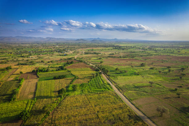 How Digitizing Land Registries Can Increase Revenue and Reduce Disputes