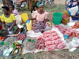 The Future of Microfinance and Inclusive Finance in Tanzania