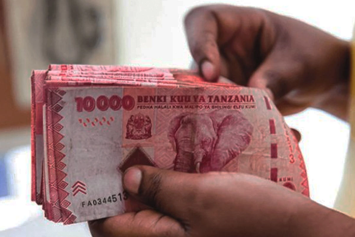 How Exchange Rate Movements Affect Prices, Imports, and Daily Life in Tanzania