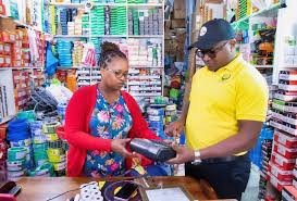 Tanzania’s Tax Base: Why It Remains Narrow and How to Expand It