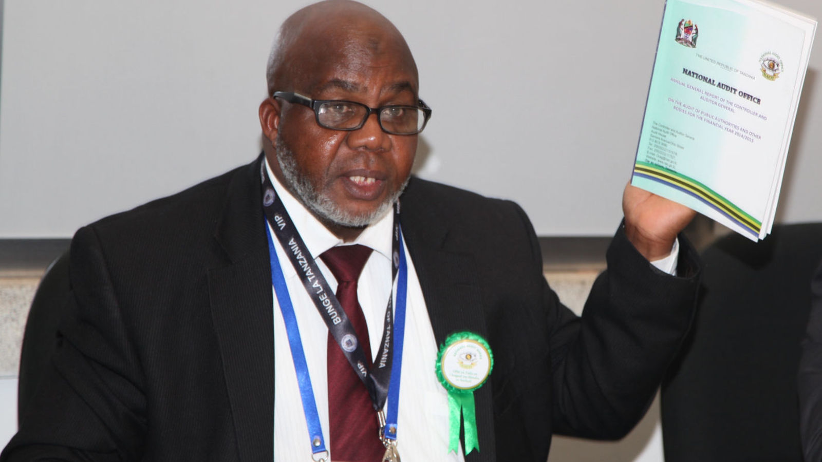 Why Auditing Public Projects Matters for Economic Stability