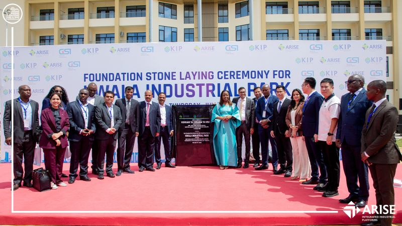 Why Industrial Parks in Tanzania Have Slow Uptake, and How to Improve It