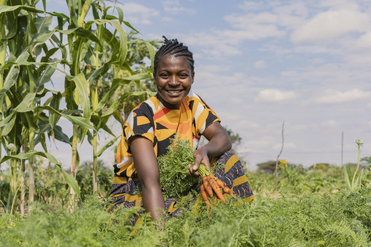 Understanding Agribusiness Value Chains in Tanzania