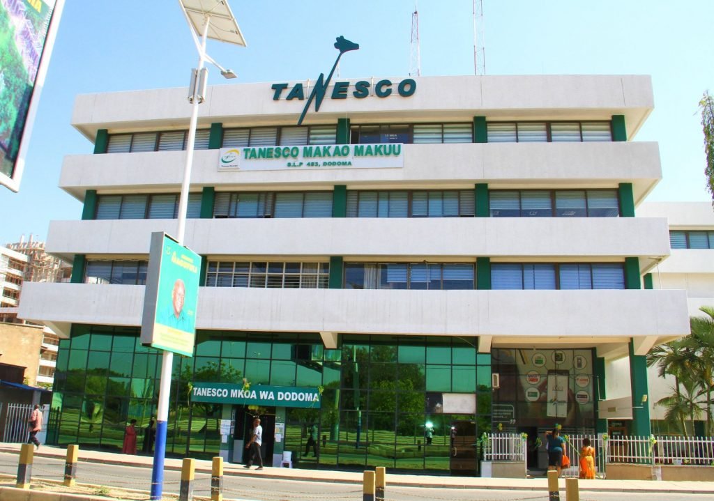 The 10 Public Parastatals Quietly Shaping Tanzania’s Future