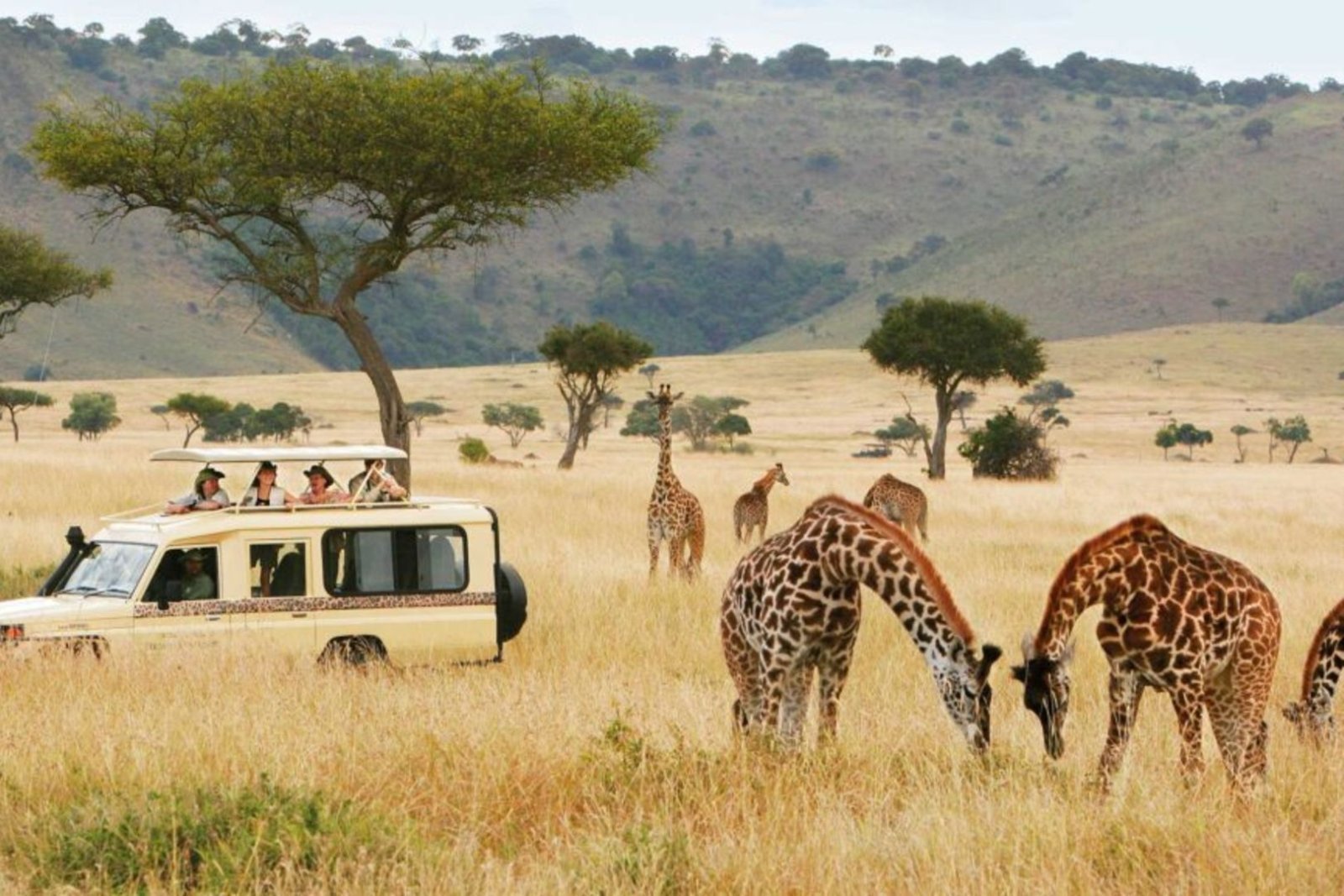 Tanzania's Tourism Revenue Grew 26 Percent to TZS 724 Billion. Inside the National Parks Generating That Revenue, Roads Are Unmaintained and Poaching Is Rising.
