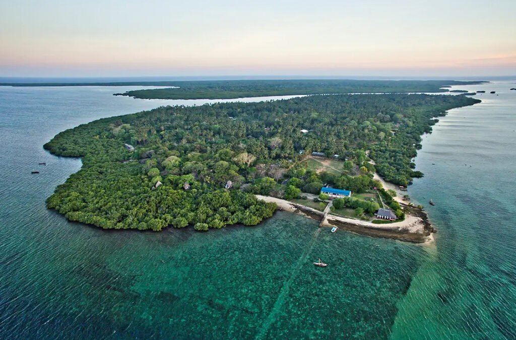 Tanzania Has 1,400 Kilometres of Indian Ocean Coastline and Has Developed Almost None of It. Pangani, Kilwa, and Mafia Could Change That.