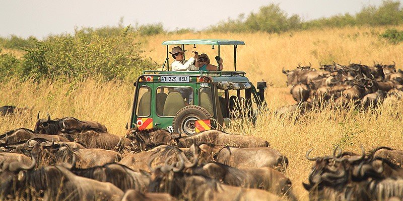 Tourism Earned Tanzania $4.4 Billion Last Year. What Is Driving t