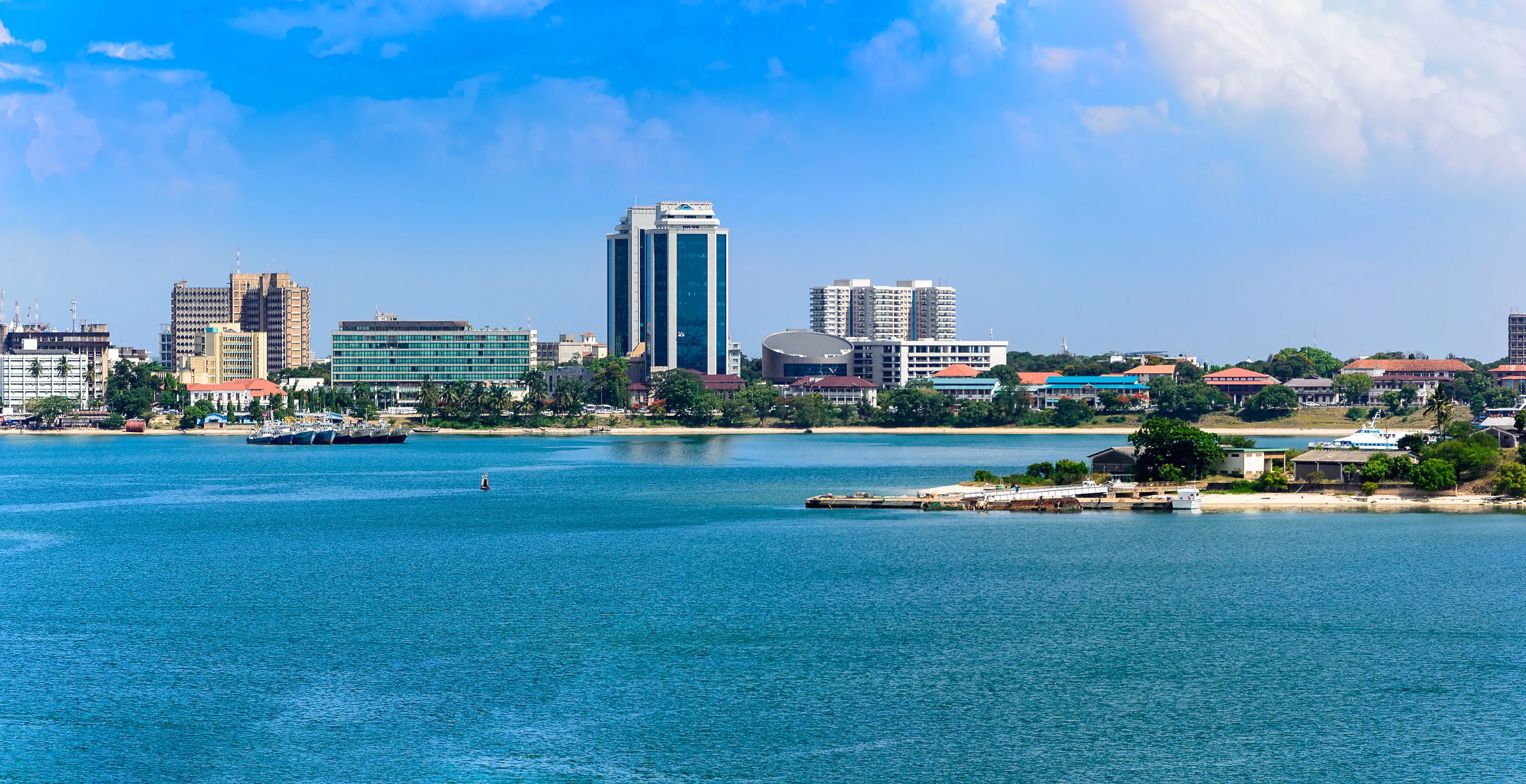 The 10 Industries That Will Define Tanzania's Economy By 2050