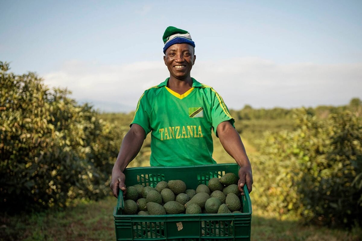 Vision 2050 Reveals Tanzania's Biggest Economic Bet. The Country Is Betting On Productivity, Not Resources.