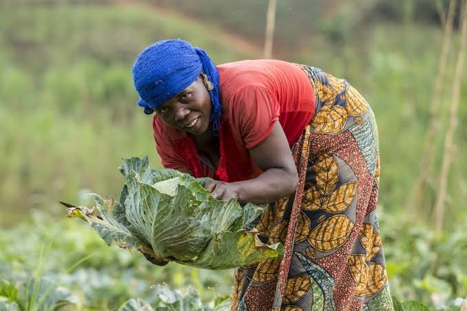 Burundi Launches a $100.5 Million Farm Credit Facility Administered by CRDB Bank. Private Lending Is Shrinking at the Same Time.