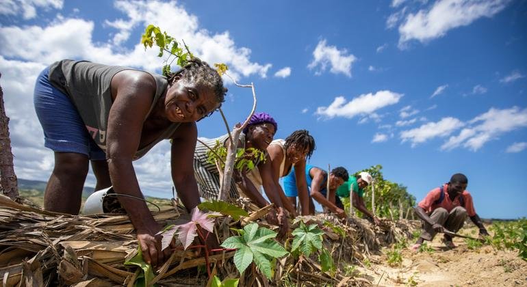 Tanzania Wants the EAC's New Seed Law Rewritten to Protect Farmers' Right to Save Their Own Seed