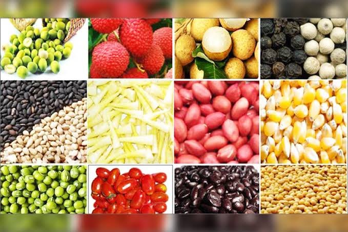 Ethiopia's Agricultural Exports Reach $4.55 Billion in 2025/26 Fiscal Year