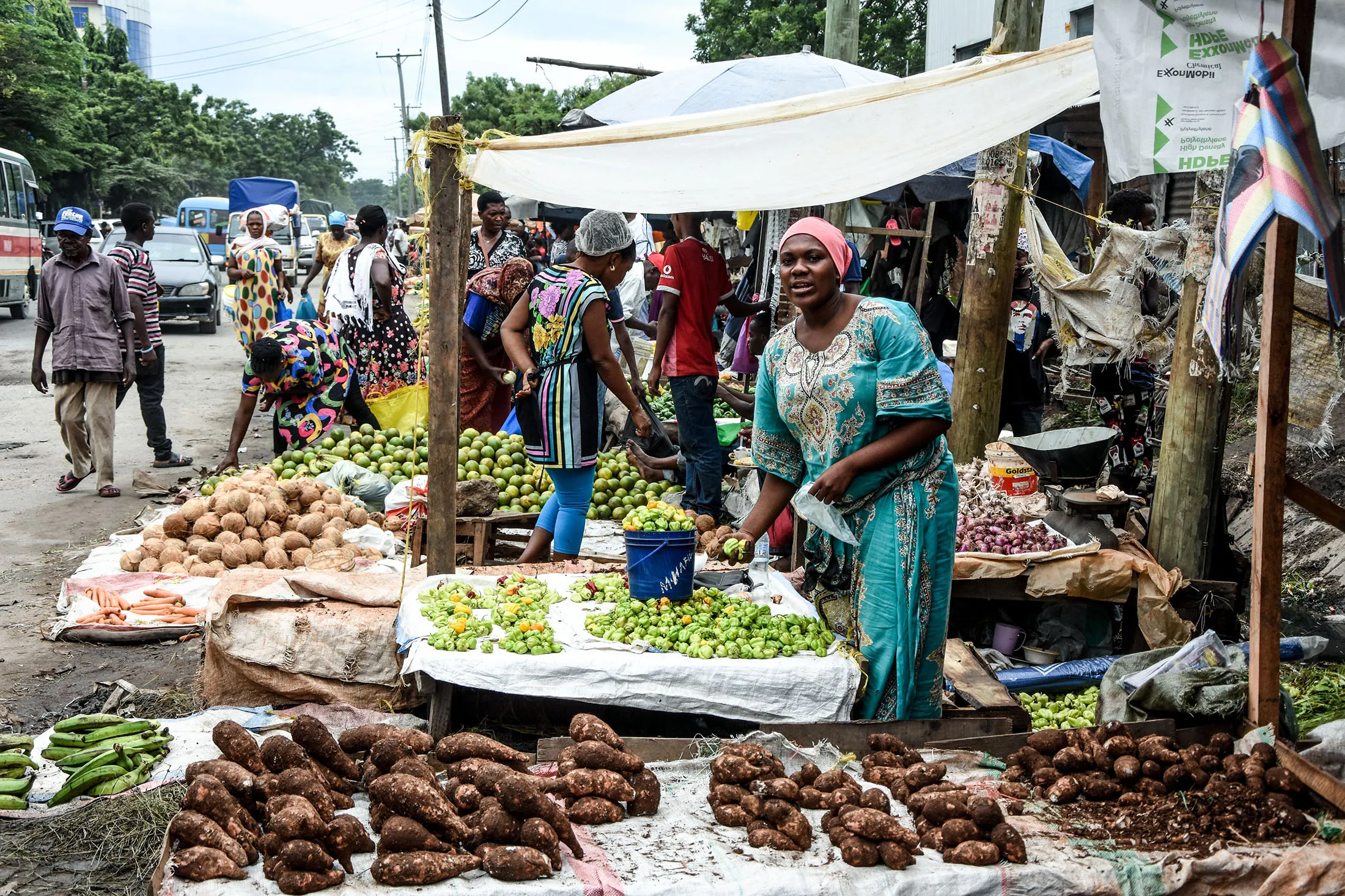 10 Things the World Bank Says Tanzania Must Fix to Make Growth Work