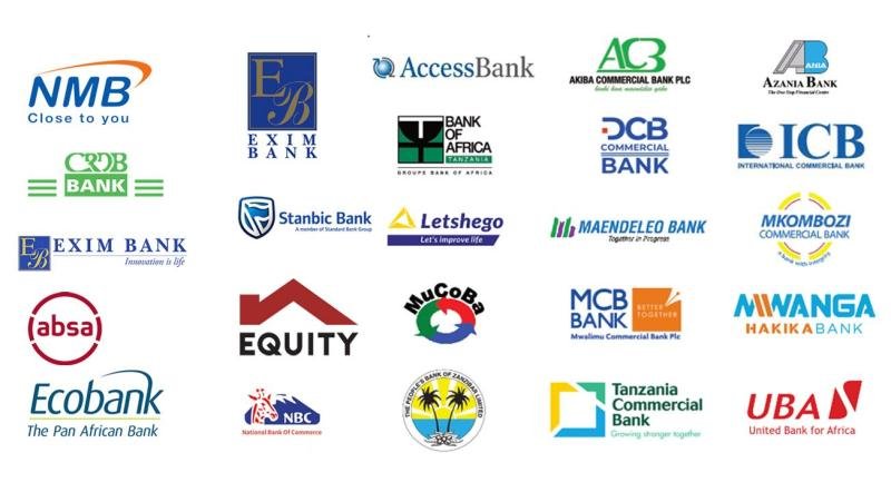 Tanzania’s Credit Is Growing 33%. What Is the Money Financing?