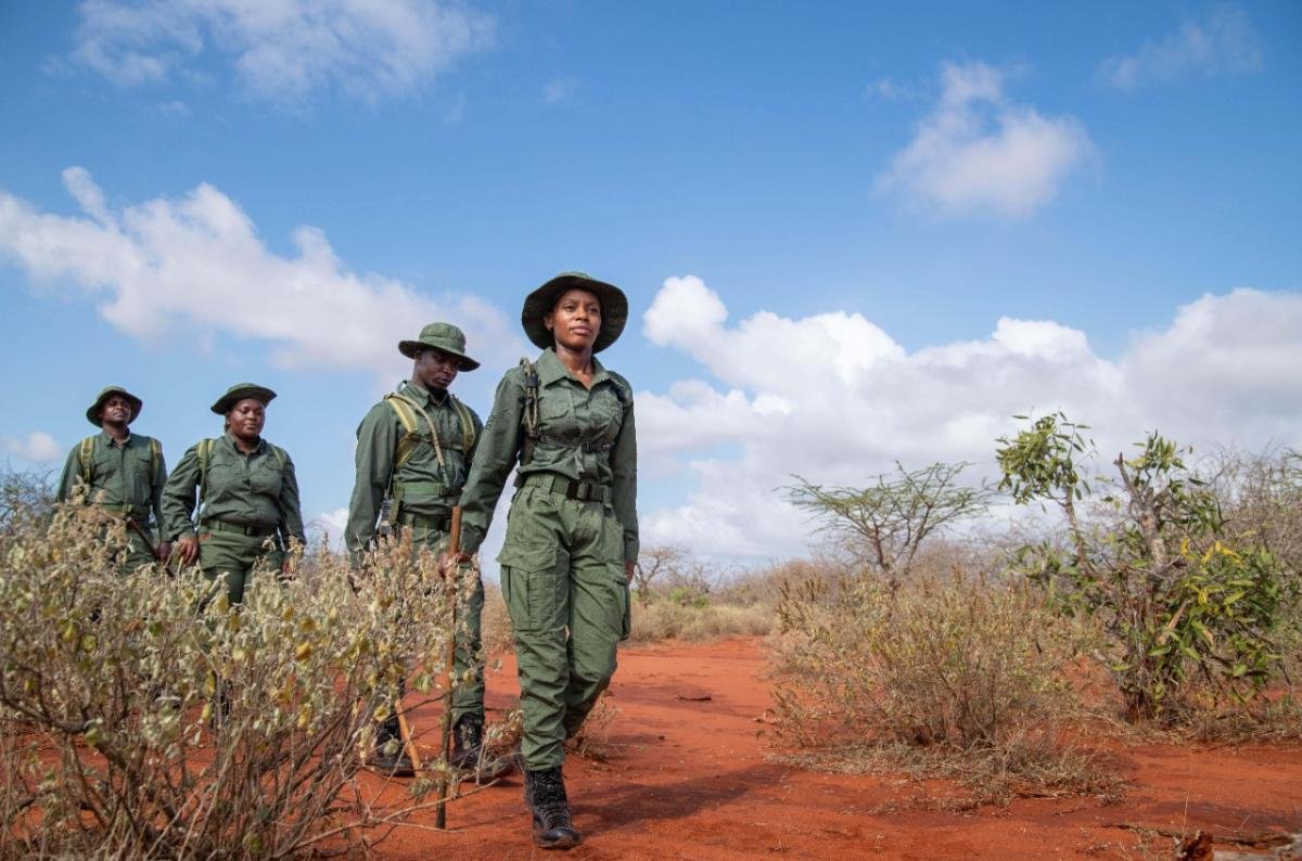 Kenya Secures $160 Million Conservation Deal to Protect 173,000 Square Kilometres